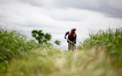 Sugar Industry Careers In Demand For Future Farmers