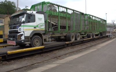 Giants cut costs in sugarcane hauling