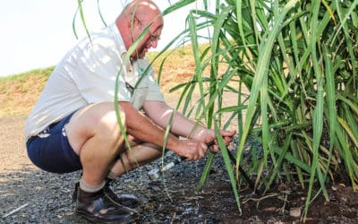 Cutting edge technology cuts irrigation costs
