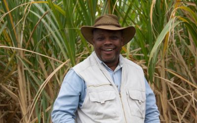 Sticking to the basics yeilds “Tip Top” Crops for Zululand grower Moses Gumede