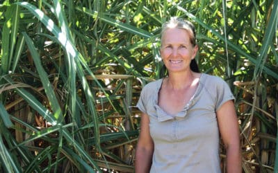 Malalane farmer walks her fields to cut costs and boost productivity