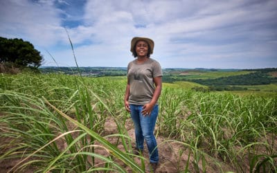 Young farmer back to her roots and her home