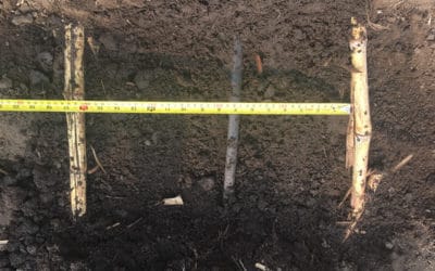 Drip irrigation for simplified management