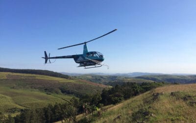 Progressive ratoon management a top priority for Eston farmer