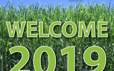 Welcome 2019