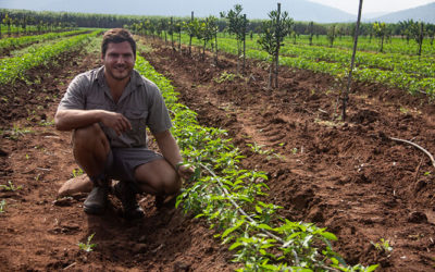 Irrigation farmer uses crop diversity to manage growth