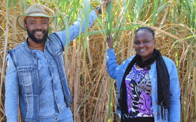 Small farm, Big impact