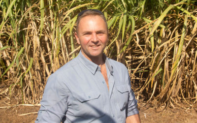 New SA Canegrowers chairman calls for collaboration