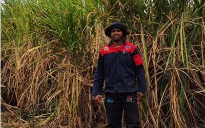 Mbombela grower rolls up his sleeves for the industry