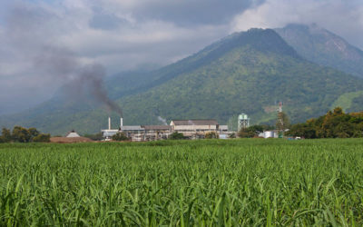 Tanzania sugar study highlights industry gender gap