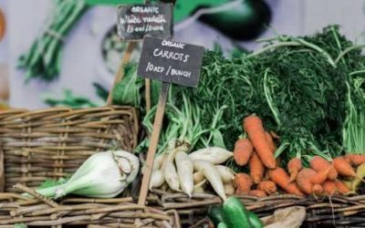 How long can the status quo in the global food system hold?