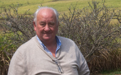 Serving the sugar industry with distinction