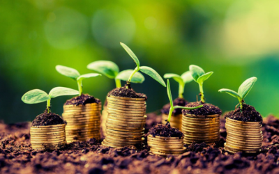 South Africa agricultural trade surplus expands by 16% y/y in the first quarter of 2020